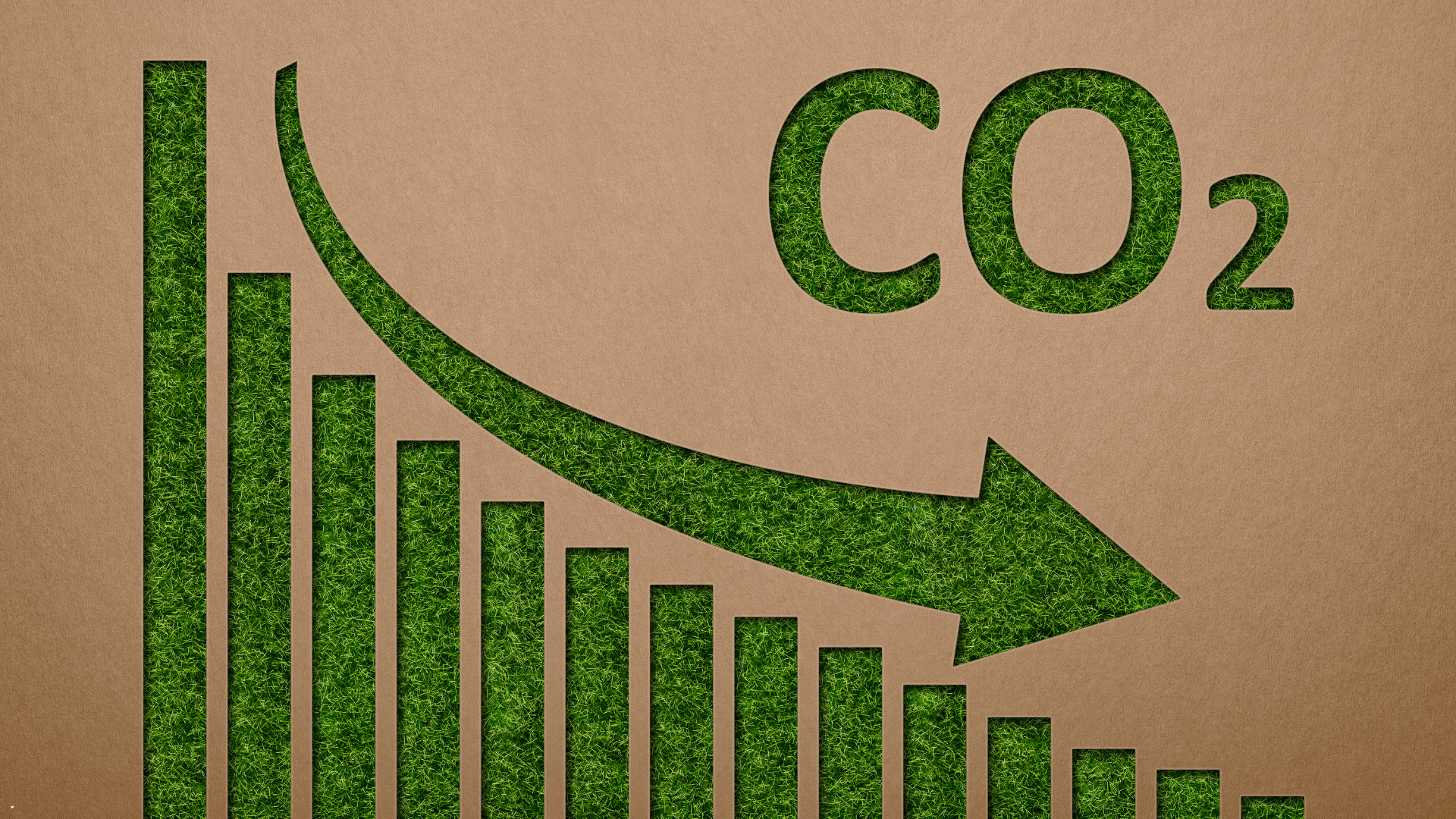 Carbon emissions graph
