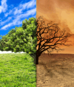 Climate Change: Explained